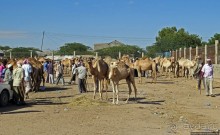 "Сити-тур" по Харгейсе (столице Сомалиленда)