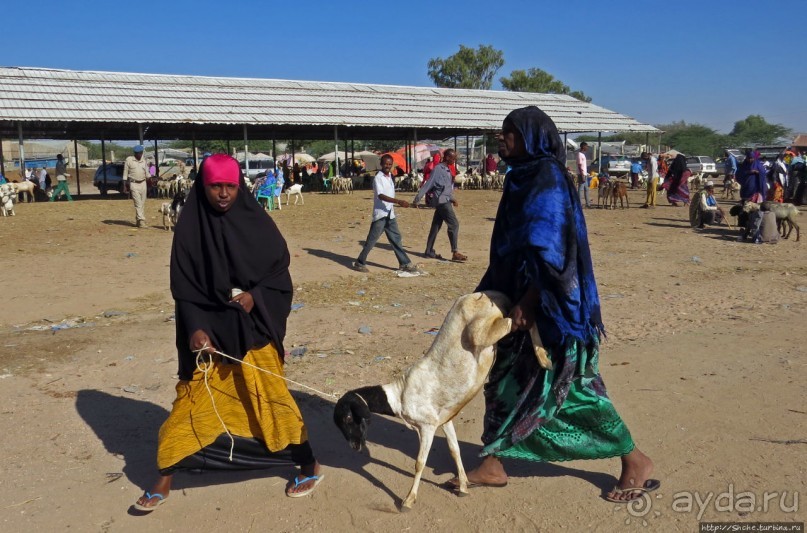 "Сити-тур" по Харгейсе (столице Сомалиленда)