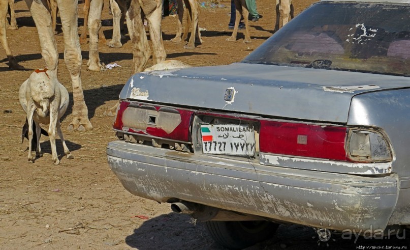 "Сити-тур" по Харгейсе (столице Сомалиленда)