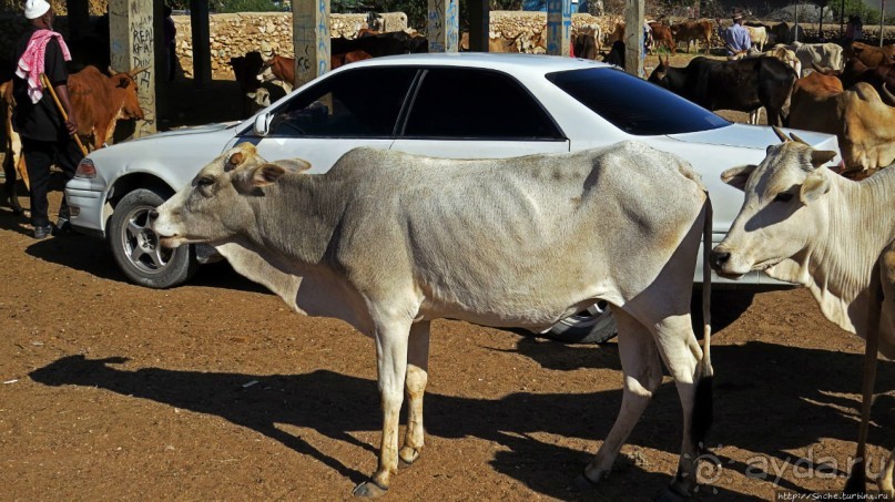 "Сити-тур" по Харгейсе (столице Сомалиленда)