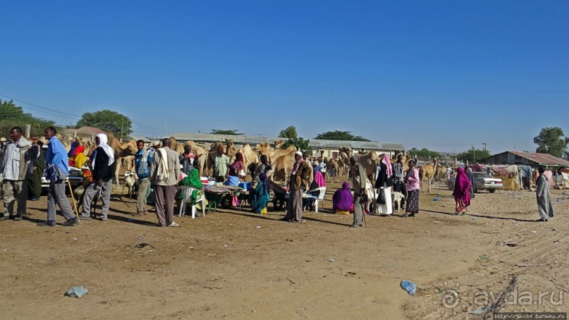 "Сити-тур" по Харгейсе (столице Сомалиленда)