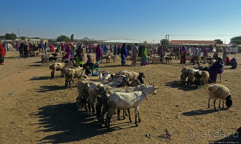 "Сити-тур" по Харгейсе (столице Сомалиленда)