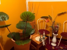 В домашней обстановке на подъезде (с запада) к Эрфурту