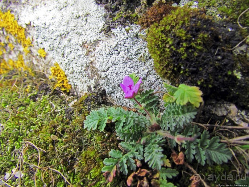Страж, ушедший на покой