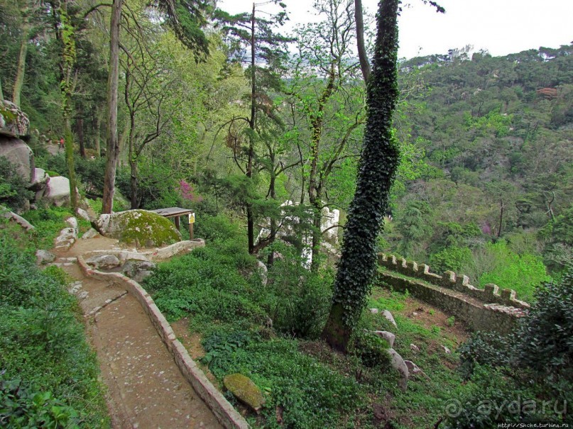 Страж, ушедший на покой