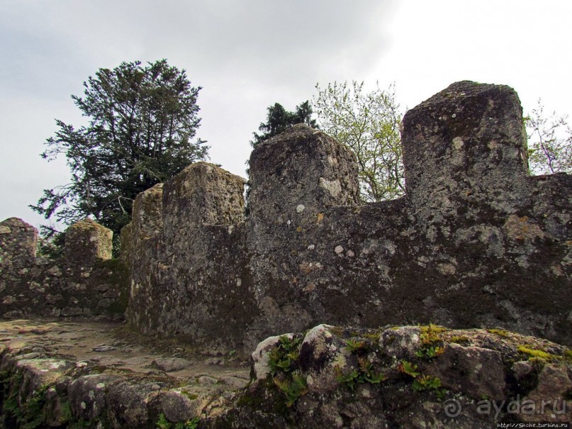 Страж, ушедший на покой
