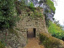 Страж, ушедший на покой