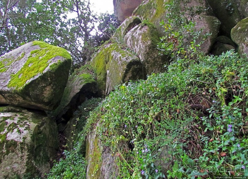 Страж, ушедший на покой
