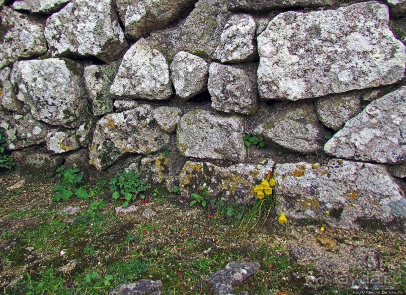 Страж, ушедший на покой