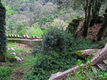 Страж, ушедший на покой