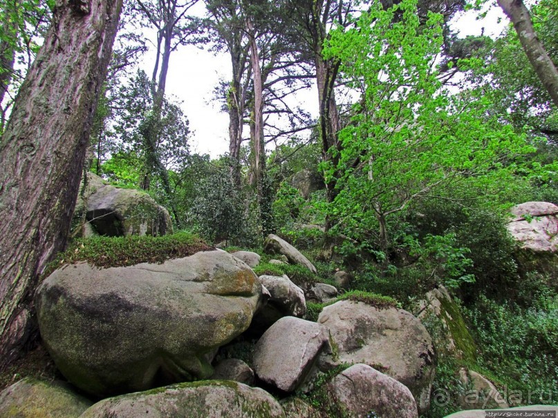 Страж, ушедший на покой