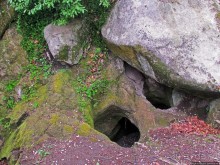 Страж, ушедший на покой