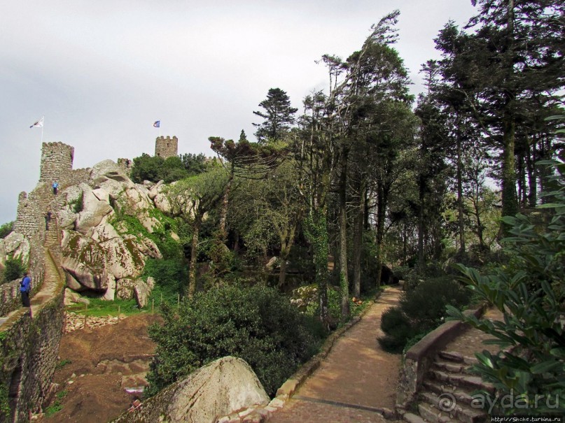 Страж, ушедший на покой