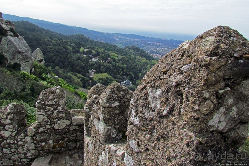 Страж, ушедший на покой