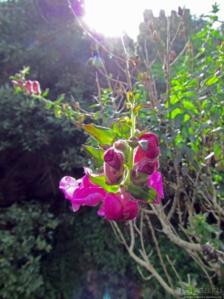 Страж, ушедший на покой