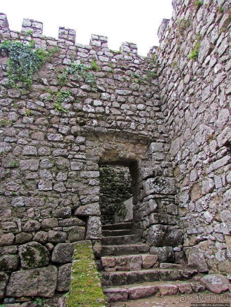 Страж, ушедший на покой