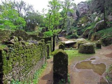 Страж, ушедший на покой