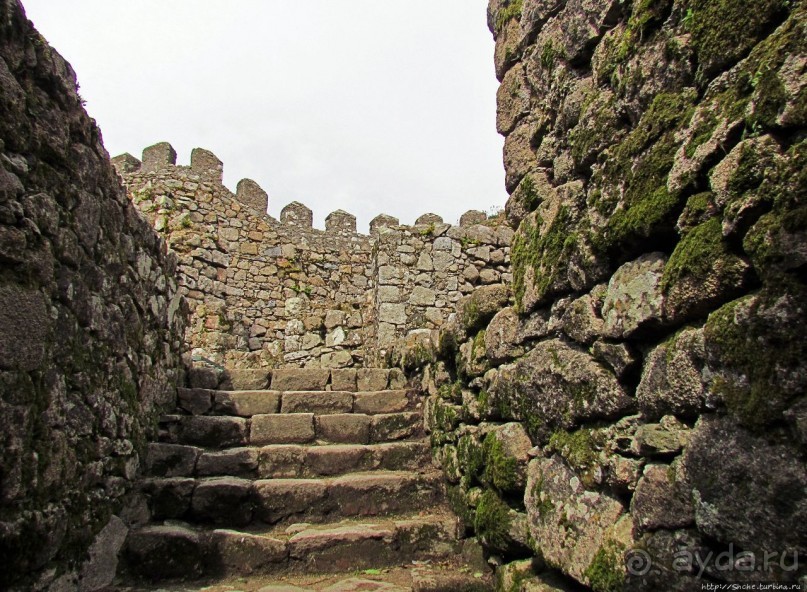 Страж, ушедший на покой