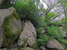 Страж, ушедший на покой