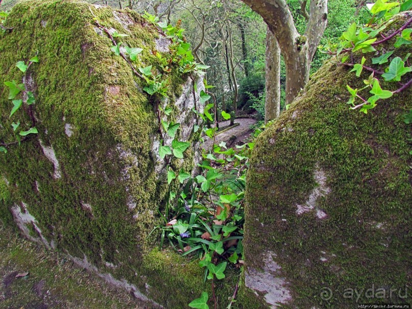 Страж, ушедший на покой