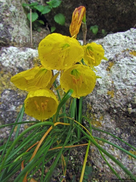 Страж, ушедший на покой