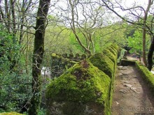 Страж, ушедший на покой