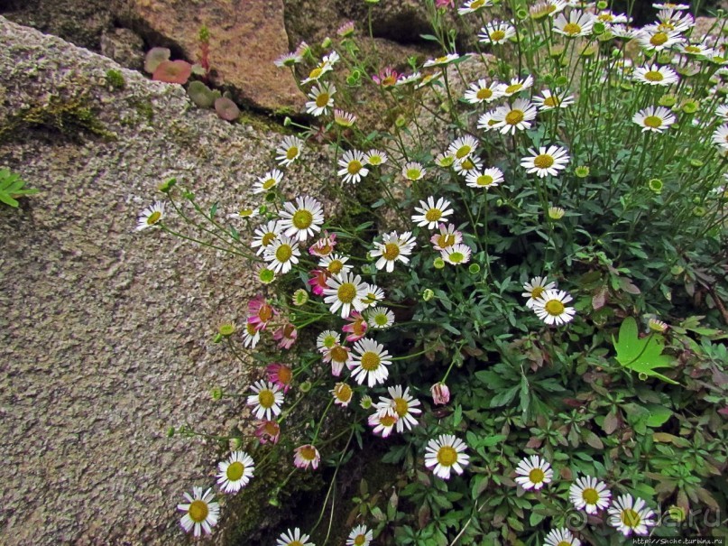 Страж, ушедший на покой
