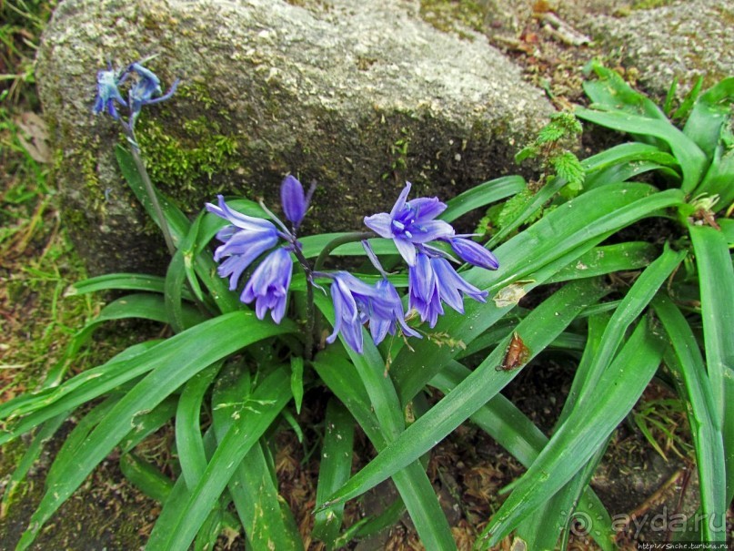 Страж, ушедший на покой