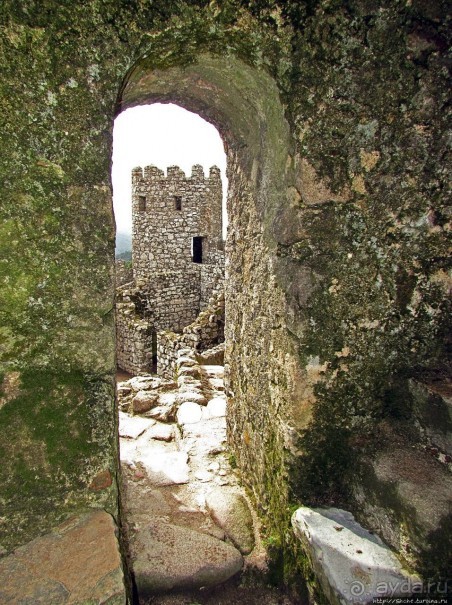 Страж, ушедший на покой