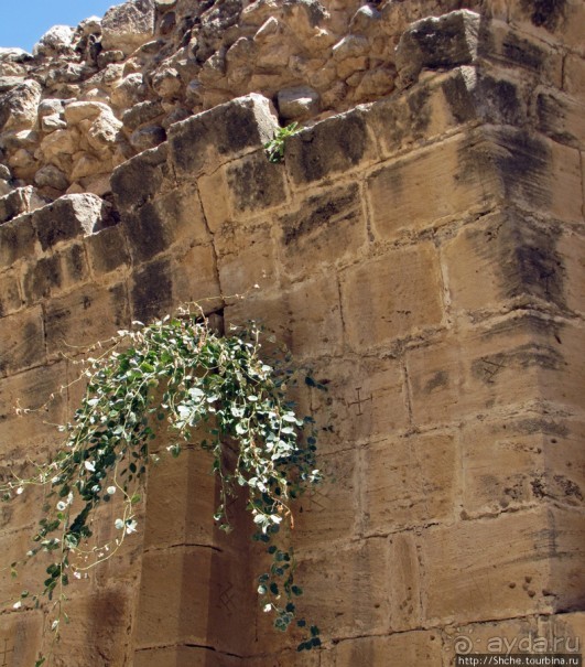 Аббатство Беллапаис- эстетичные развалины в готическом стиле