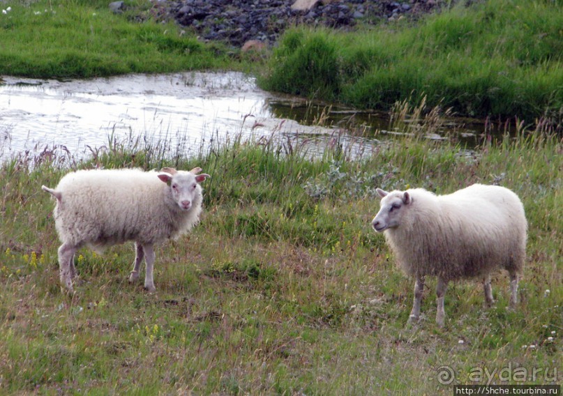 Водопад Seljalandsfoss - пройтись под струей