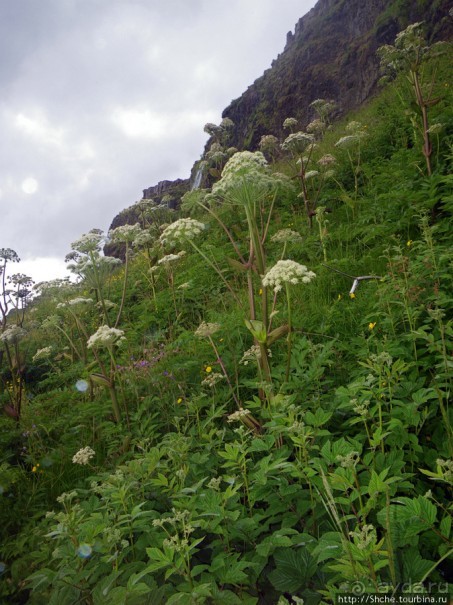 Водопад Seljalandsfoss - пройтись под струей