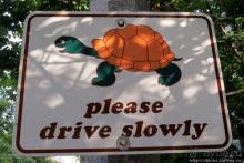 Люблю, когда понятно без слов... Торонто