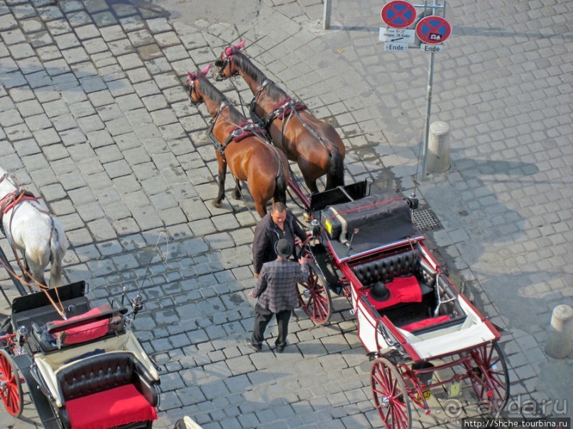 Вена с колокольни Домского собора (Stefansdom)