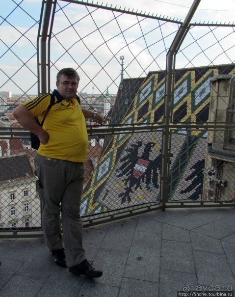 Вена с колокольни Домского собора (Stefansdom)