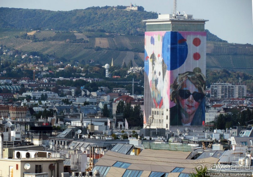 Вена с колокольни Домского собора (Stefansdom)