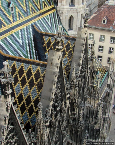 Вена с колокольни Домского собора (Stefansdom)
