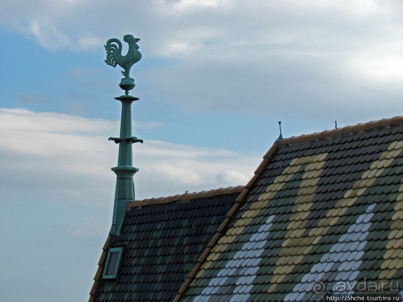 Вена с колокольни Домского собора (Stefansdom)