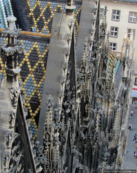 Вена с колокольни Домского собора (Stefansdom)