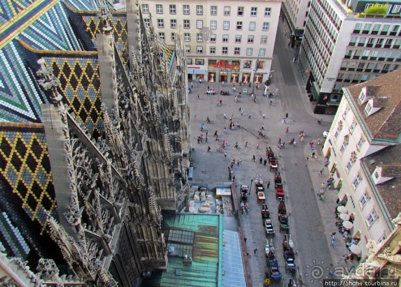 Вена с колокольни Домского собора (Stefansdom)