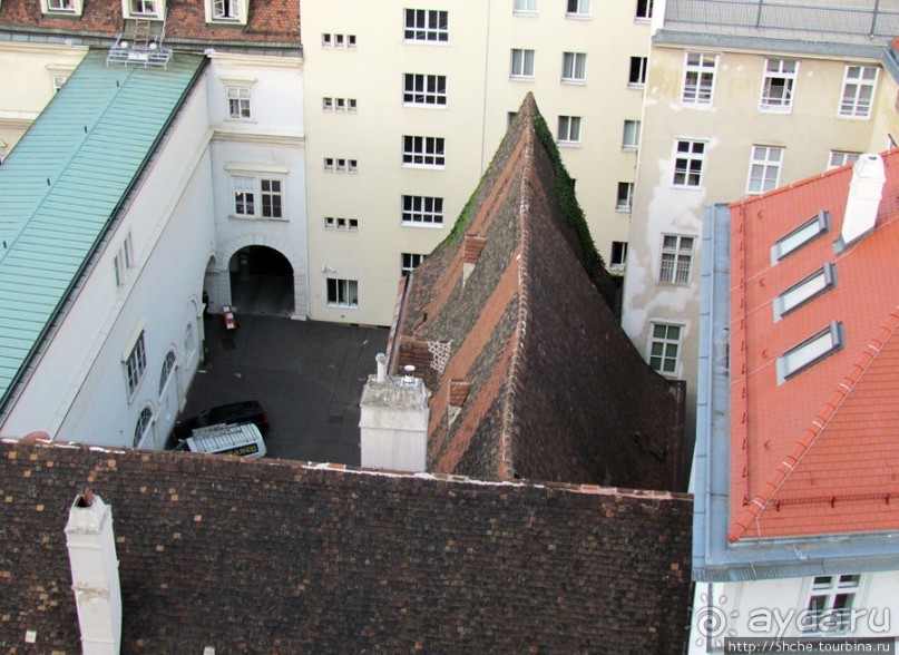 Вена с колокольни Домского собора (Stefansdom)