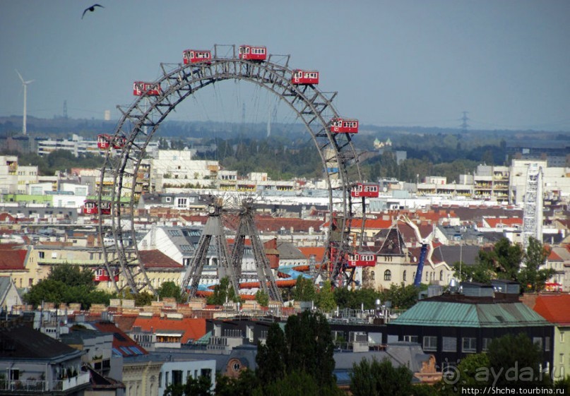 Вена с колокольни Домского собора (Stefansdom)