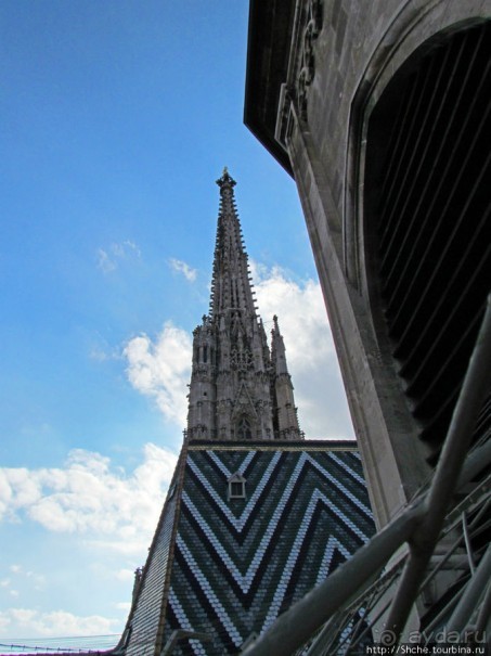 Вена с колокольни Домского собора (Stefansdom)