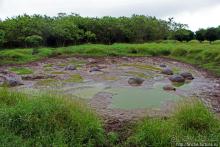 Истинные хозяева Галапагос