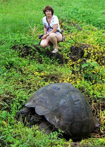 Истинные хозяева Галапагос