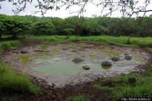 Истинные хозяева Галапагос