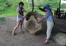 Истинные хозяева Галапагос