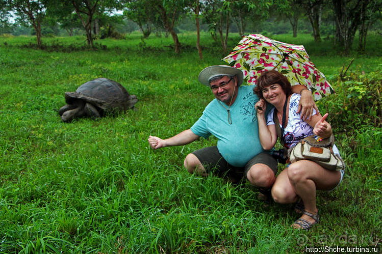 Истинные хозяева Галапагос