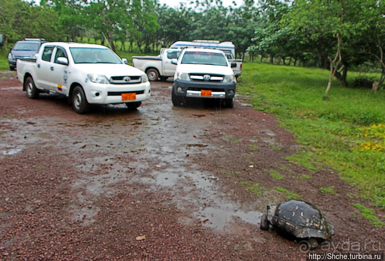 Истинные хозяева Галапагос