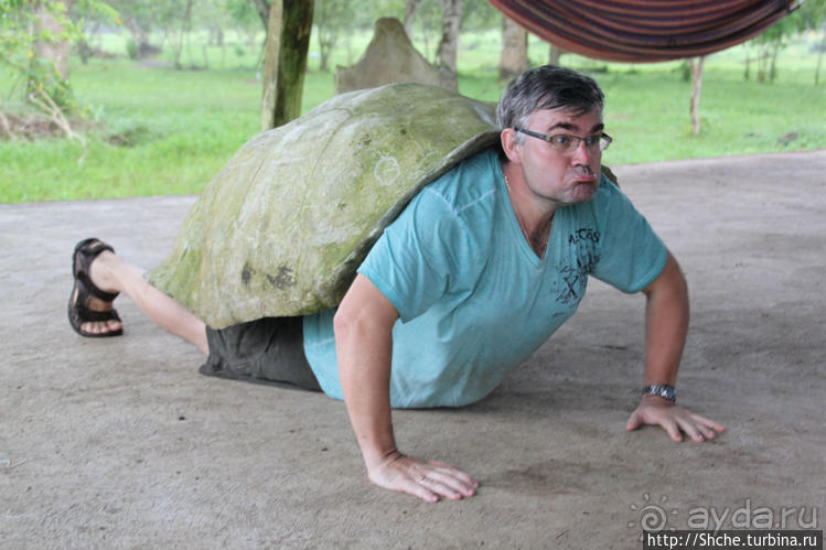 Истинные хозяева Галапагос